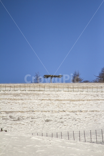 여행,강원도,풍경,겨울,자연,자연,풍경,nature,landscape,겨울,계절,winter,season,outdoors,옥외,building,건물,rural,농촌