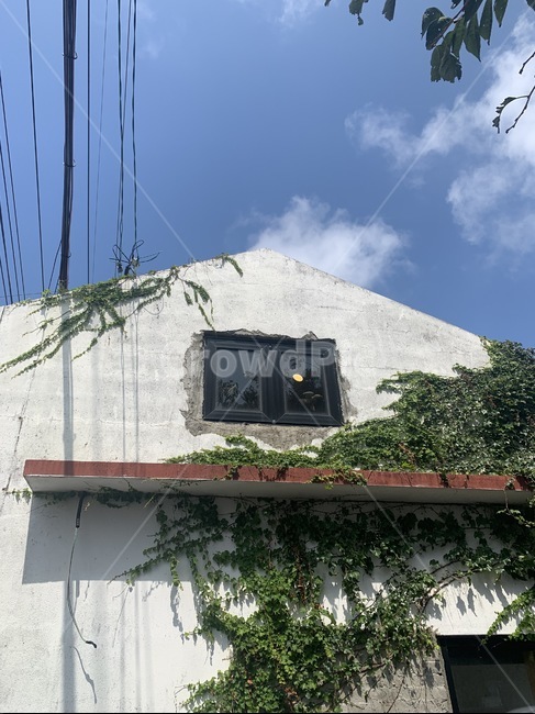 날씨,햇빛,파란하늘,weather,sunshine,지붕,집,house,bluesky,건물,하늘,building,sky