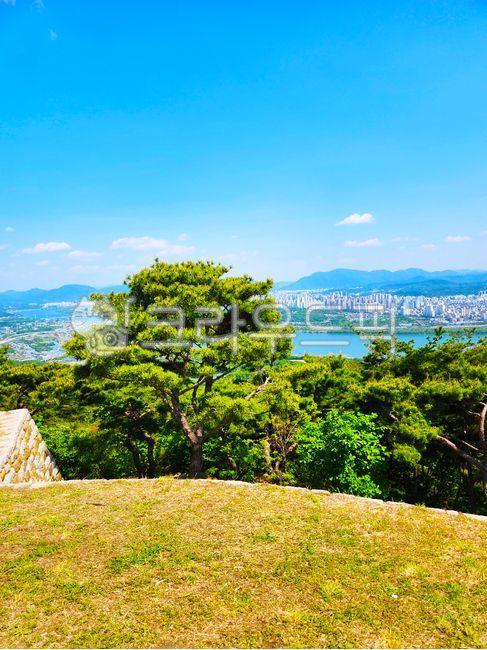여름, 자연, 들판, summer, nature, 사진,이미지,일러스트,캘리그라피 - 행운의 초코작가
