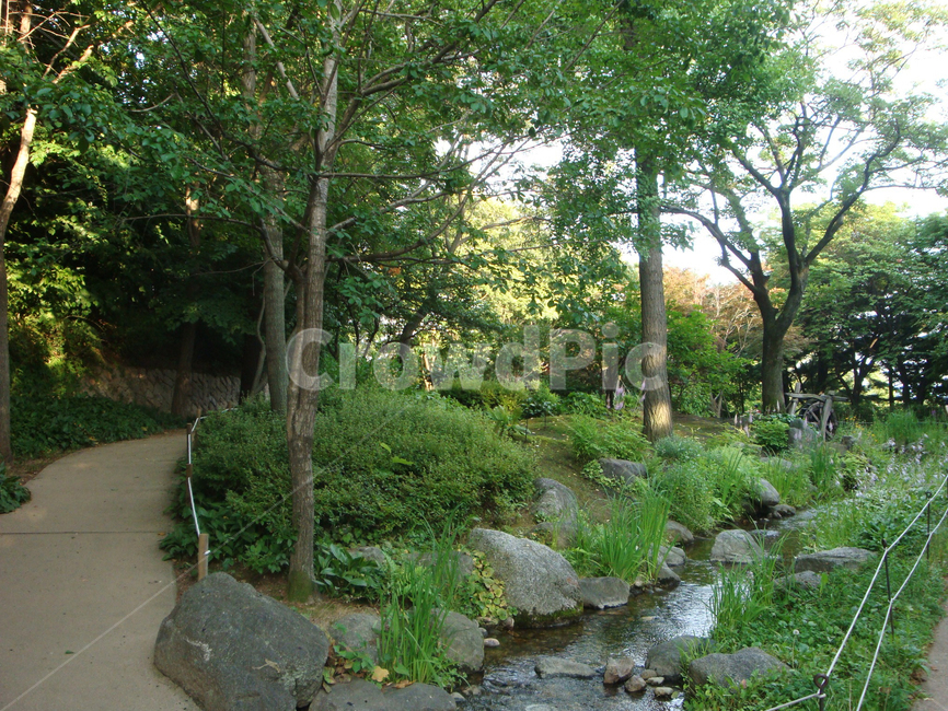 화양구곡,화양계곡,물,녹음,green,산책로,자연,풍경,nature,landscape