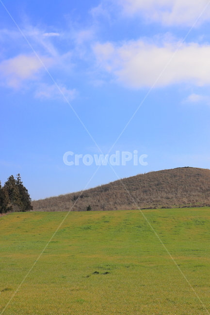 산,구름,들판,화창한,나무,자연,목초,자연,풍경,nature,landscape