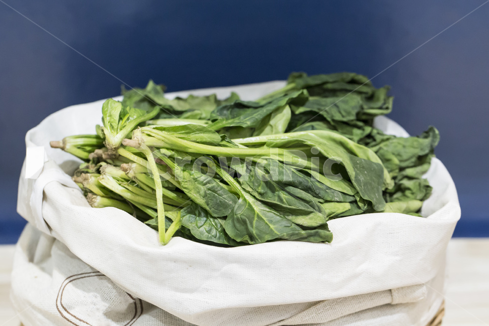 시금치,야채,채소,유기농,식품,녹색,녹색채소,식재료,채소,야채,vegetables