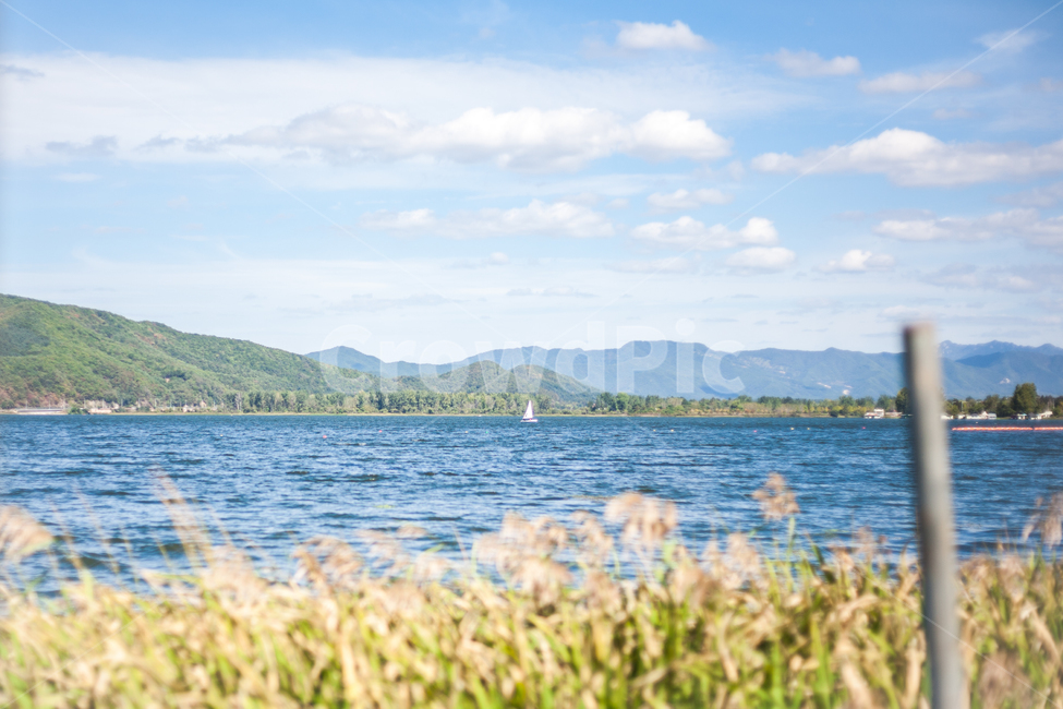 풍경,요트,강,춘천,시원한,자연,풍경,nature,landscape,한국자연풍경,한국자연경관,korea nature landscape,plant,식물,grass,잔디,outdoors,옥외,land,땅,water,물