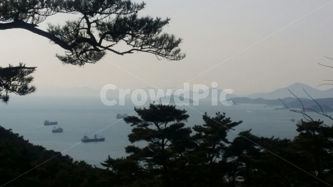 자연,나무,식물,바다,풍경