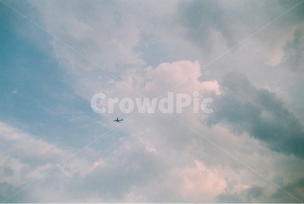 필름,구름,하늘,감성,해질녘,풍경,landscape,sky,cloud,sunset,비행기,airplane,emotional,자연,풍경,nature,landscape,감성,sensible,feeling,bird,새,flying,나는,animal,동물,adventure,모험,leisure activities,레저 활동