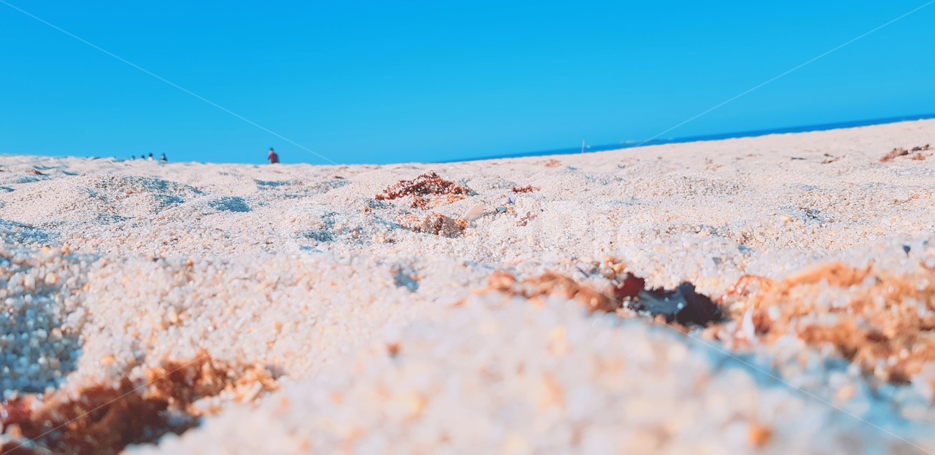 바다,해변,하늘,구름,모래,beach