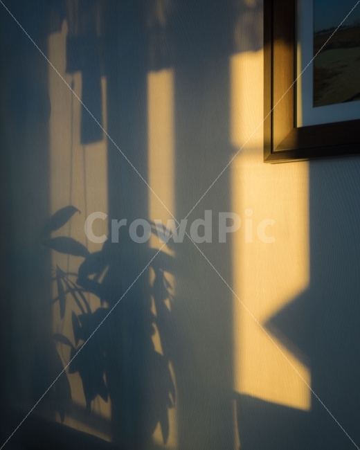 아침,아침햇살,그림자,감성적,색감,분위기,morning,shadow,colors,colours,감성,sensible,feeling