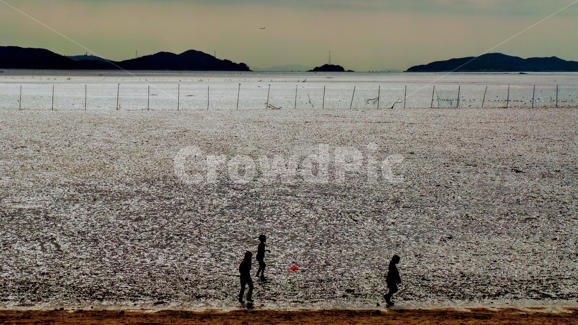 강화도,바다,풍경,어린이,사람들,갯벌,자연,사람,sea,뻘
