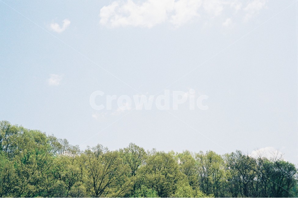 나무,하늘,구름,봄,자연,산,trees