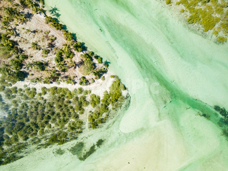 반타얀,자연,휴양,바다,오션뷰,섬,드론뷰,세부,휴가,여름,휴양지,bantayan,nature,vacation,sea,ocean,oceanview,island,drone,droneview,cebu,summer,자연,풍경,nature,landscape,land,땅,outdoors,옥외,경치,shoreline,해안선,water,물,plant,식물,vegetation,초목,대양,scenery