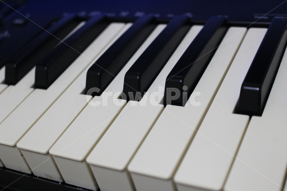 musicalinstrument,피아노,piano,악기,건반,instrument