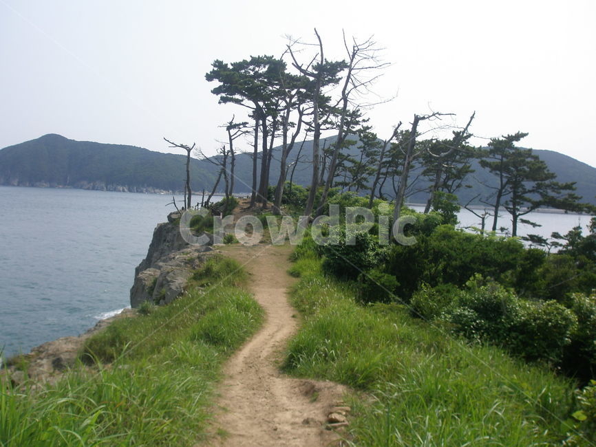 지심도,오솔길,바다,소나무,절벽,섬,거제도