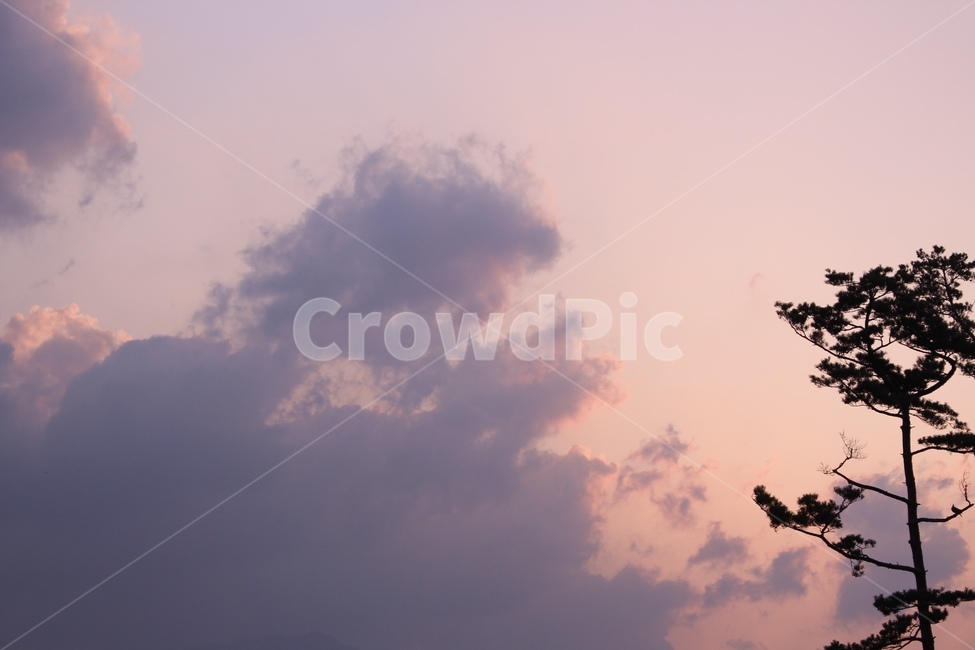 하늘,자연,구름,감성,배경,풍경,색감,분홍,색채,연보라,핑크,sky,pink,nature,color