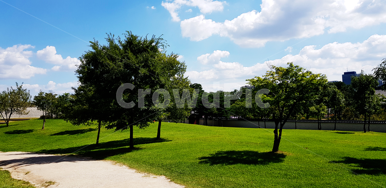 잔디,나무,맑은하늘,구름,초록배경,그린가든,자연,풍경,nature,landscape,grass,plant,식물,lawn
