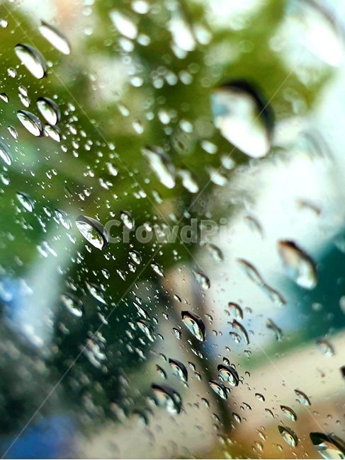드라이브,차,빗방울,차안에서,가을비,작은물방울,비,비오는날,rain,rainy