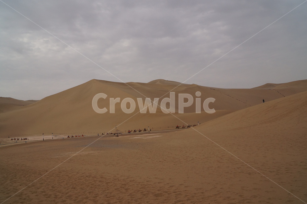 중국,사막,모래,china,desert,asia,자연,낙타,아시아,자연,풍경,nature,landscape,해외,외국,세계,foreign,oversea,world,세계자연풍경,해외자연풍경,외국자연풍경,world nature landscape,soil,흙,sand,outdoors,옥외,dune,모래 언덕