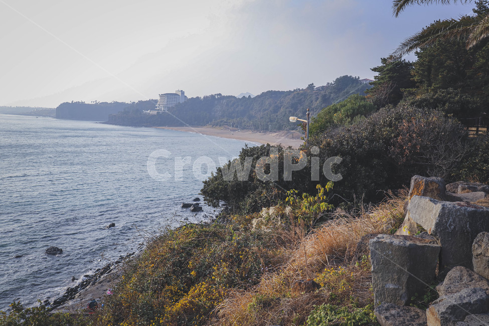 풍경,제주도,해안가,바다,겨울,landscape