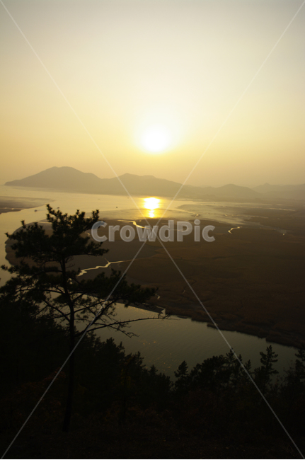 순천만,일몰,석양,노을,풍경,강,산,자연,풍경,nature,landscape,light,빛,flare,플레어,sunlight,햇빛,outdoors,옥외