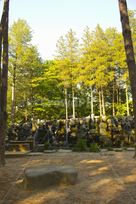 나미나라,남이섬,남이아일랜드,섬,숲,공원,한국,춘천,나무,잡초,흙,흙바닥,돌,폭포,연못,자연,물,식물,바위,스톤,생태공원,풀,인공폭포,낮,돌담