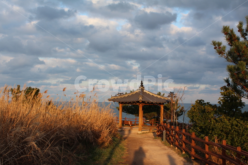 일몰,원두막,갈대,자연,구름,가을,계절,fall,autumn,season,자연,풍경,nature,landscape