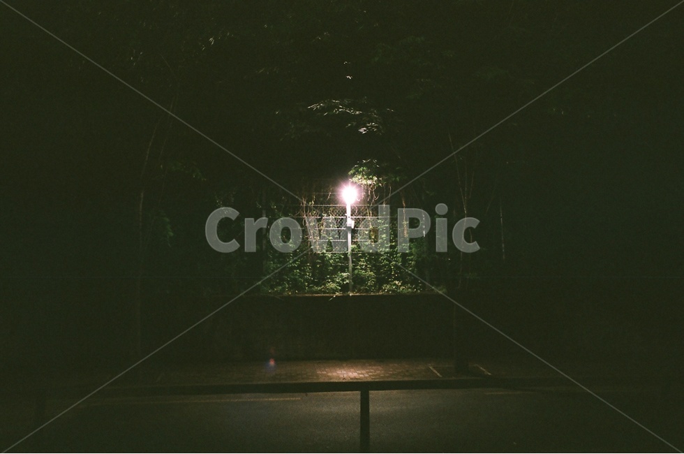 불빛,가로등,필름카메라,밤거리,외로움,혼자,야경,밤,풍경,nightscape,night,landscape,골목길,alley,water,물,light,빛,flare,플레어