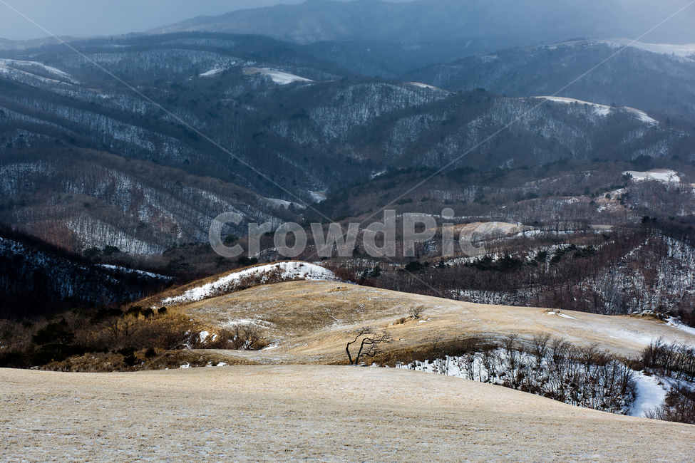 삼양목장,눈길,목장,울타리,겨울,겨울,계절,winter,season,자연,풍경,nature,landscape,한국자연풍경,한국자연경관,korea nature landscape,outdoors,옥외,mountain,산,mountain range,산맥,plateau,고원