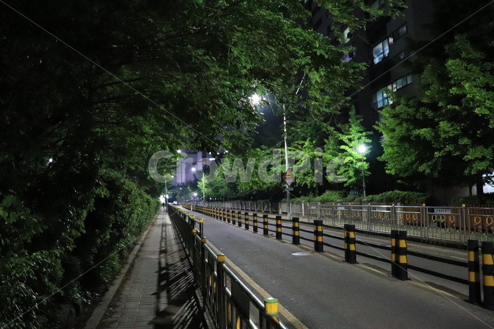 길거리,도로,가로등,야경,로드,road,도시,길,스트릿,감성,인도,일상,걷기