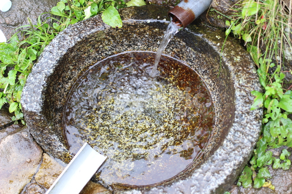 지리산,임걸령,샘물,물,산,맑은물,달다달어,water