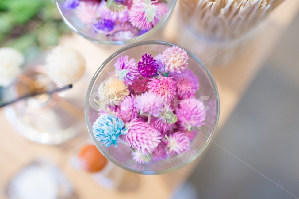 스냅,꽃,감성,색감,카페,드라이플라워,원색,풍경,자연,꽃,flower,인테리어,실내디자인,interior design