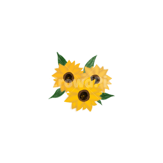 리스,flower,봄,계절,꽃다발,이벤트,누끼,remove background