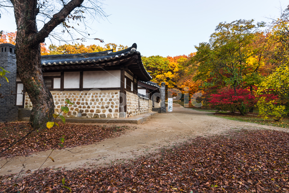 김포장릉,조선왕릉,문화재,재실,홍살문,원시림,송림,연지,정숙,소나무,잔디,돌담,한옥,흙길,낙엽,가을,기와집,처마,고목