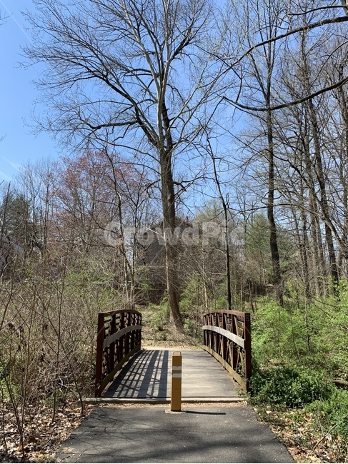 bridge,다리,boardwalk,산책로,숲,나무다리