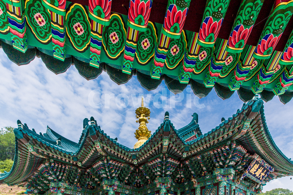 단청,무늬,처마,선,채색,문양,지붕,추녀,사찰,한국전통,한국문화,korean traditional,korean culture,종교,신앙,religion,belief,faith,건축물,건물외관,exterior,building,structure,architecture,construction