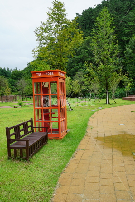 배경,초록,의자,공중전화,공원,자연,풍경,nature,landscape,plant,식물,grass,잔디,bench,벤치