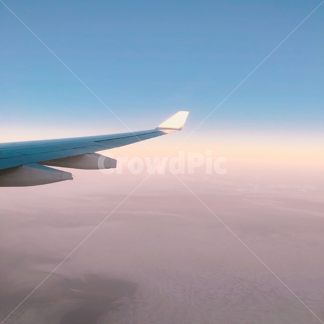 항공기,비행,하늘,구름,세레니티,sky,분홍,교통,교통수단,traffic,transportation