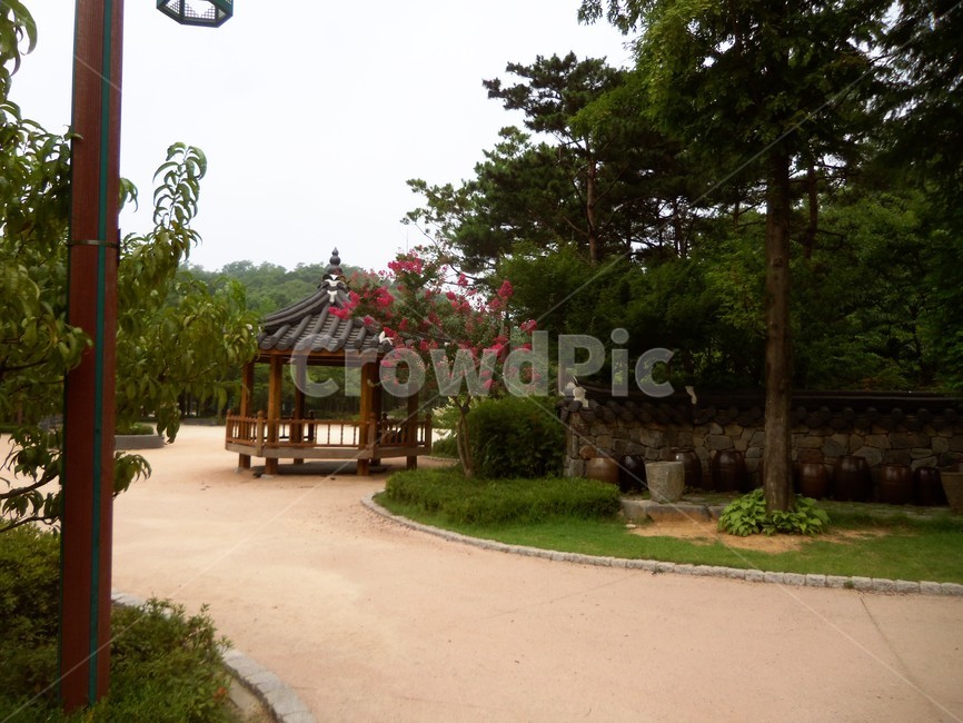 여름공원,공원풍경,공원,나무,숲,자연,풍경,nature,landscape,한국자연풍경,한국자연경관,korea nature landscape,outdoors,옥외