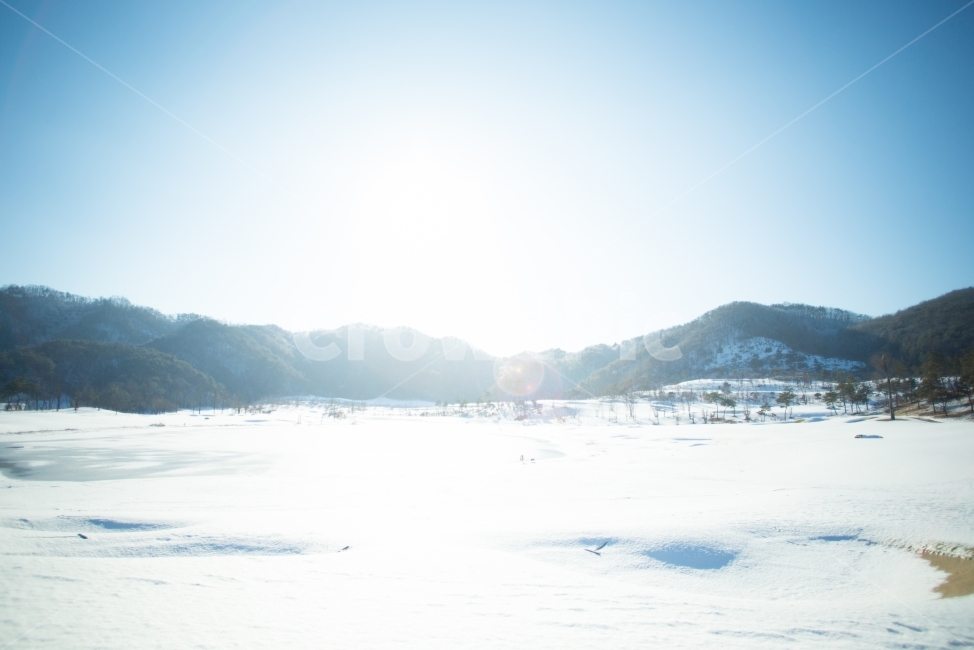설경,눈,겨울,하얀색,눈꽃,하얀세상,화이트,겨울풍경,대관령,겨울산,snow,winter,white,snowflower,겨울,계절,winter,season,자연,풍경,nature,landscape,감성,sensible,feeling,outdoors,옥외