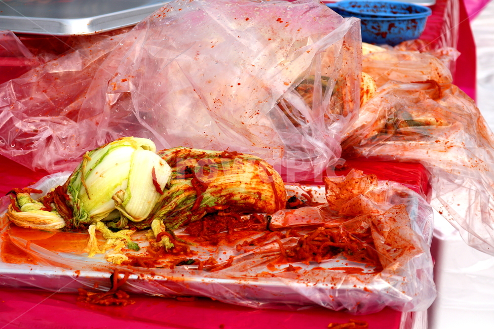 김치,김장,김장김치,배추,절임배추,배추김치,김장철,겨울,음식,식재료,요리,food,cook,meal,dishes,food reserves,채소,야채,vegetables,한식,한국음식,한국요리,korean food,korean dishes,korean meal,korean cook