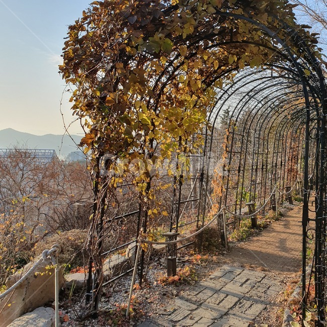 아트,art,옥외,야외,공원,배경
