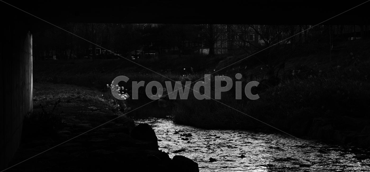 갈대,시냇물,교량,햇살,대비,자연,풍경,nature,landscape,흑백,모노톤,monochrome,black and white,water,물,outdoors,옥외