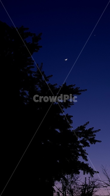 nature,자연,밤,sky,moon,star,nightsky,night,저녁,밤하늘,달,별,어둠,나무,초승달,outdoors,옥외