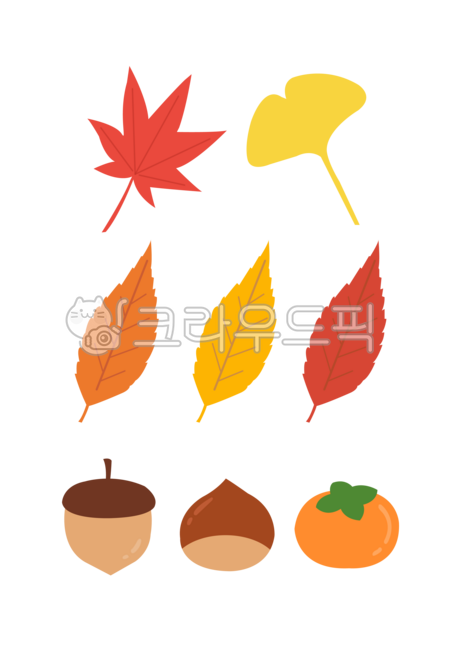 Ginkgo leaves,ginkgo tree,maple leaves,maple,maple tree,fallen leaves,tree leaves,leaves,fallen leaf illustration,acorns,acorn characters,autumn fruits,autumn,squirrel food,chestnuts,chestnut illustration,chestnuts,edible chestnuts,persi