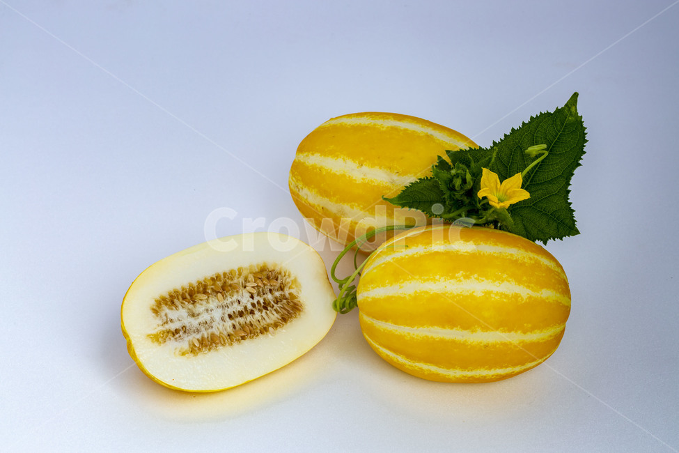 누끼,참외,과일,열매,자연,여름과일,음식,식재료,요리,food,cook,meal,dishes,food reserves,과일,열매,fruit