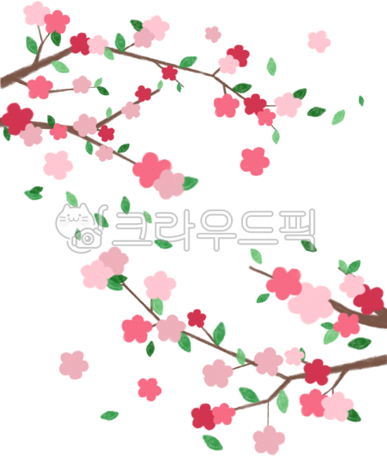 flower,cherry blossom,cherry tree,petal,spring,spring tree,spring,spring,tree,ribbon,leaf