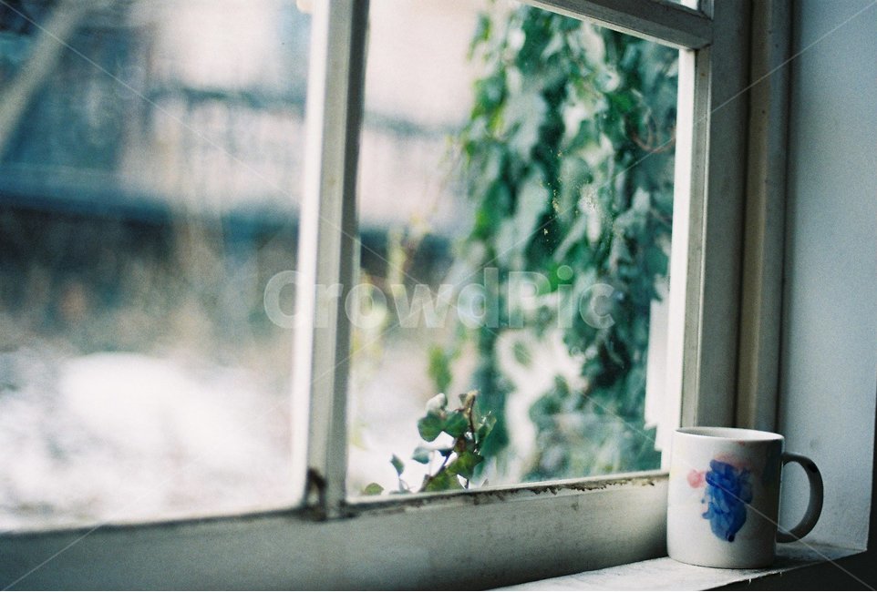머그컵,창문,감성,감성사진,아미미술관,당진,당진여행,감성,sensible,feeling,휴식,힐링,rest,relaxation,healing,사물,물건,오브젝트,thing,object,matter
