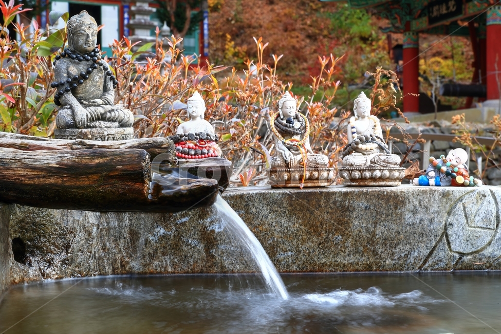 희방사,소백산,절,물,산,부처,종교,신앙,religion,belief,faith