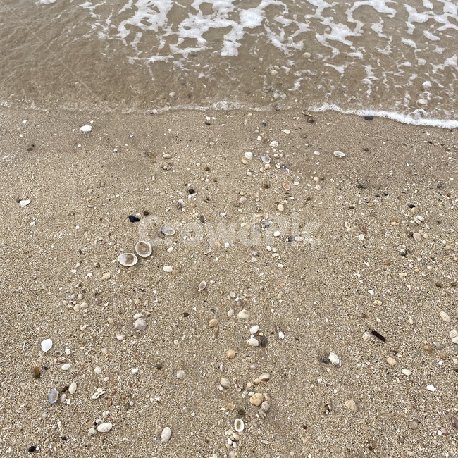 바닷가,모래사장,모래,바다,해수욕장