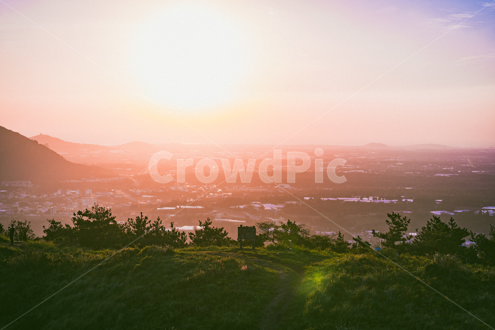 nature,자연,plant,식물,grass,잔디,일몰,노을,sunset,오름,군산오름,빛,flare,플레어,sunlight,햇빛,light,옥외,outdoors,자연,풍경,nature,landscape