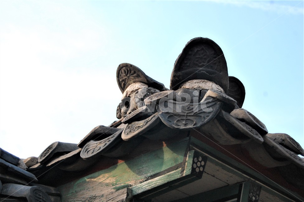 창덕궁,기와,처마,한국,궁궐,문화유산