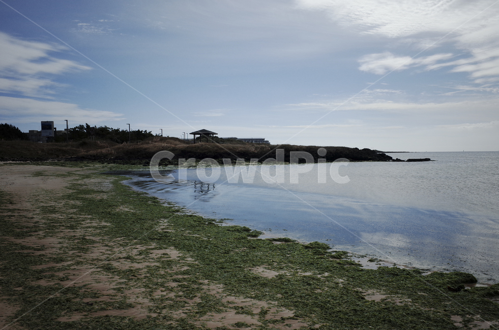 blue,sky,ocean,sea,water,바다,푸른하늘,하늘,푸른바다,shoreline,해안선,cloud,beach,해변,반사,햇빛,sunlight,light,nature,자연,윤슬,자연,풍경,nature,landscape